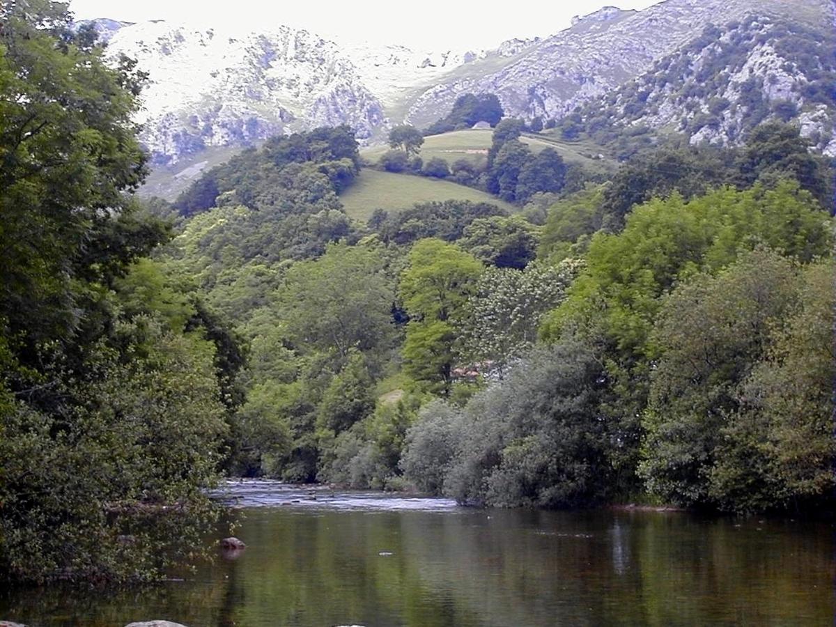 Río Asón: Tranquilo Retiro Con Piscina Y Wi-fi * Gibaja